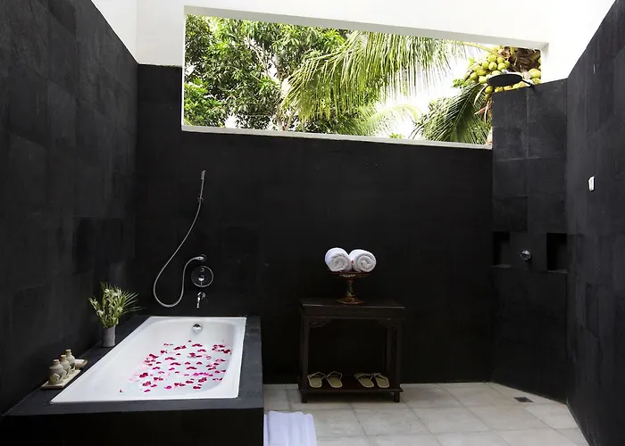 Hotel The Royal Palm 3*